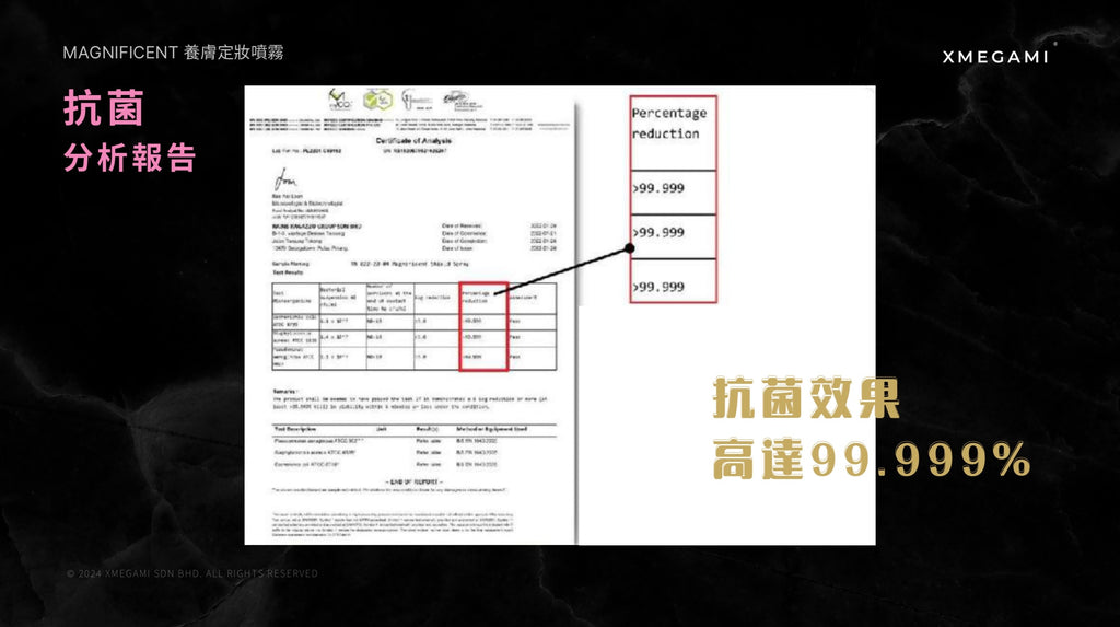 Magnificent 三合一多效防護定妝噴霧 3.4FL OZ. 100ML