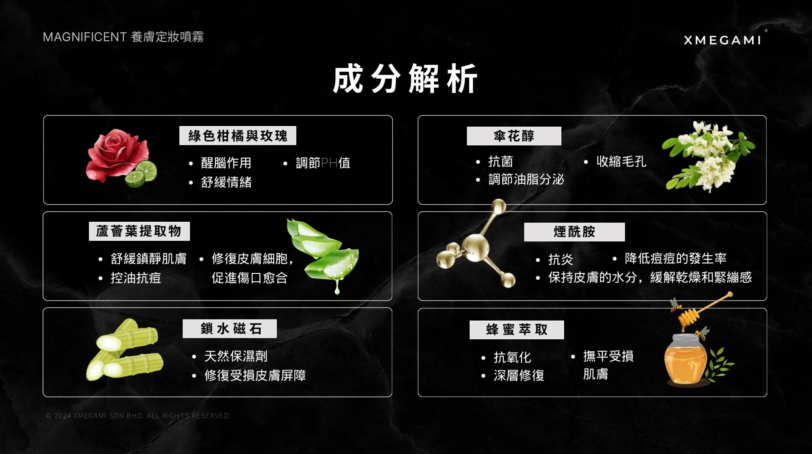 Magnificent 三合一多效防護定妝噴霧 3.4FL OZ. 100ML