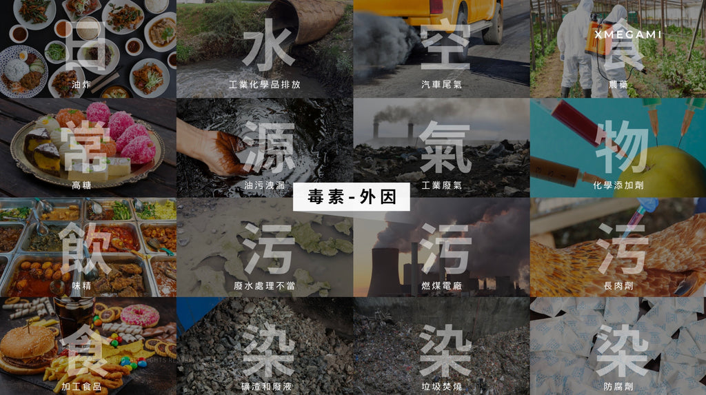 Misu Dx+ (Detox) 排毒 20sachet./box
