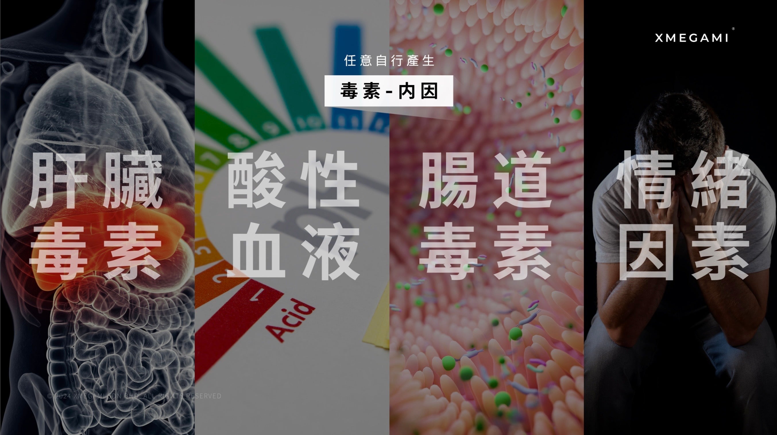 Misu Dx+ (Detox) 排毒 20sachet./box
