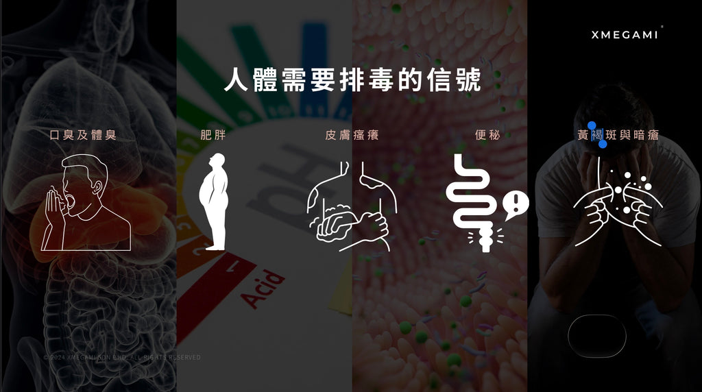 Misu Dx+ (Detox) 排毒 20sachet./box