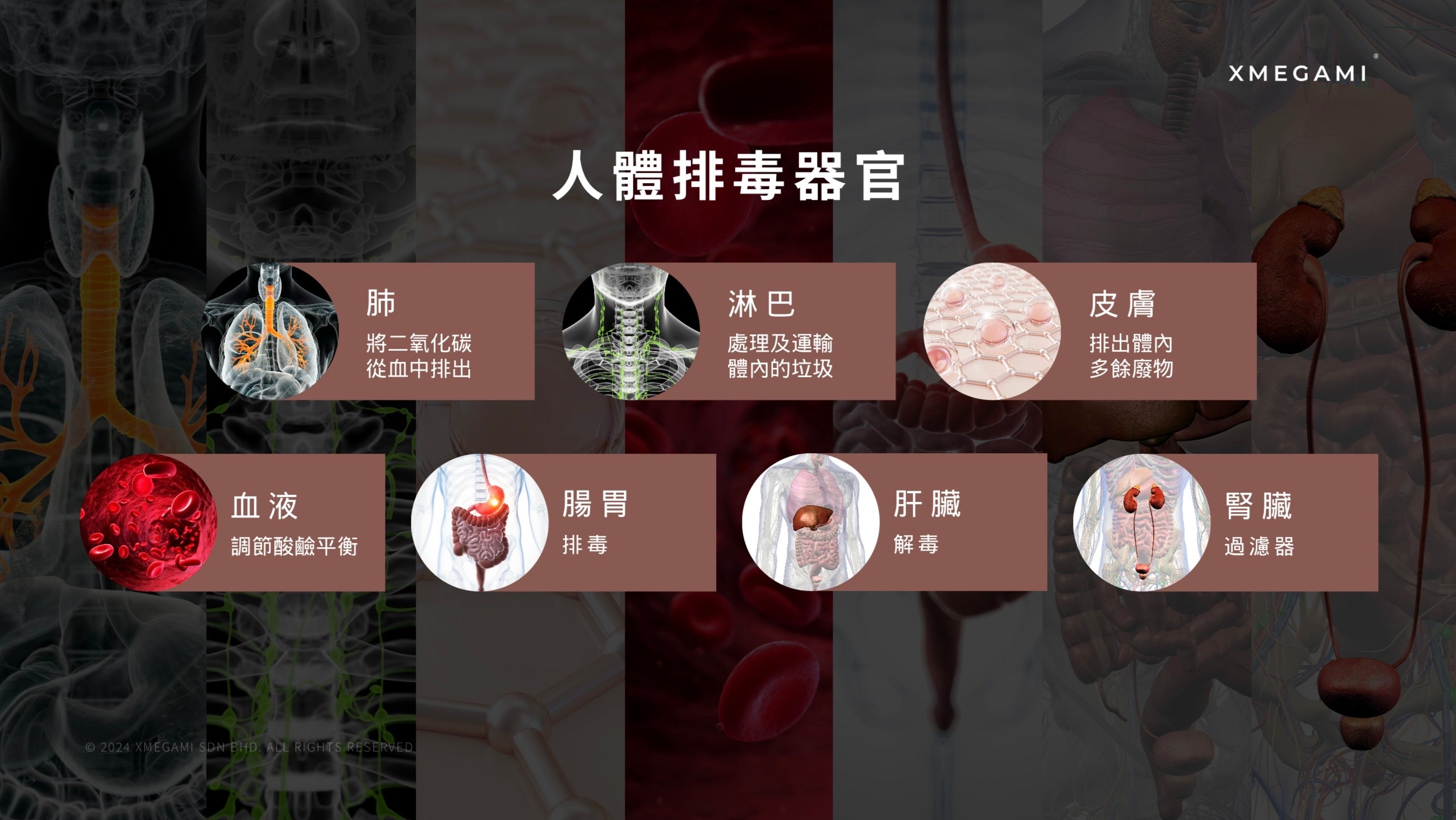 Misu Dx+ (Detox) 排毒 20sachet./box