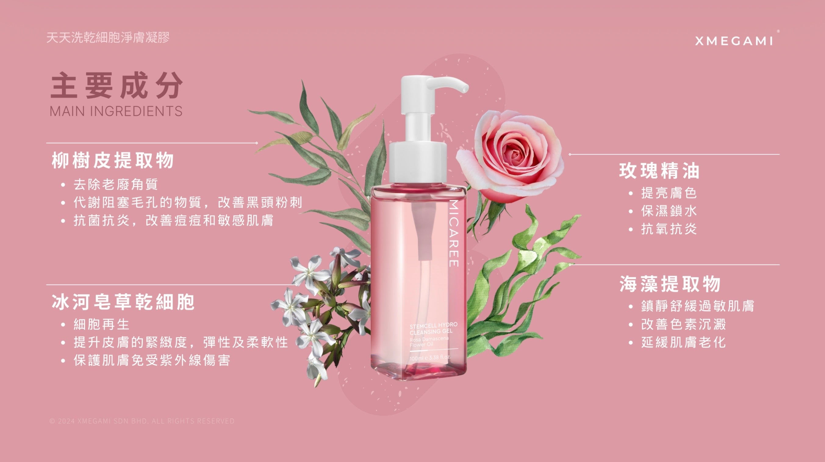 Micaree 幹細胞水潤潔面凝膠 100ml e 3.38 fl.oz.